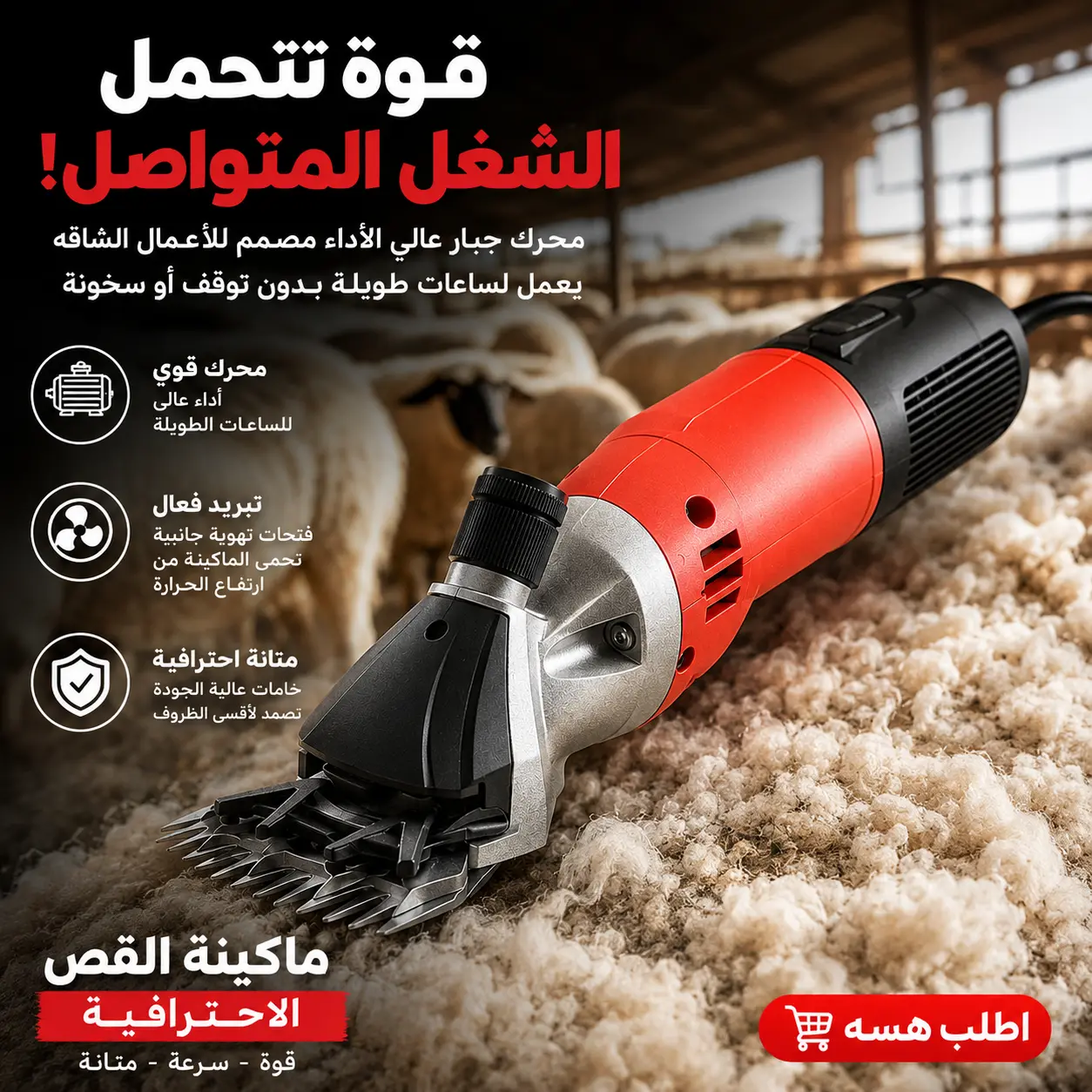 صورة المنتج 4
