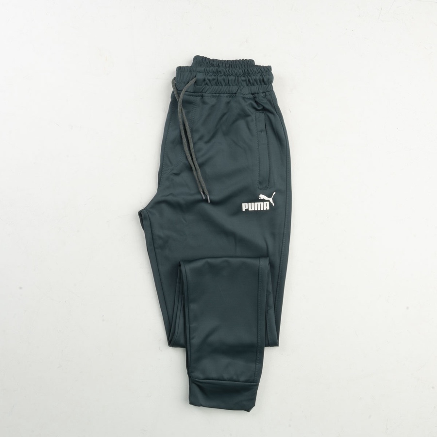 PUMA Pants NE16