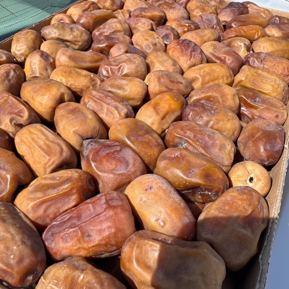 نبته علي
