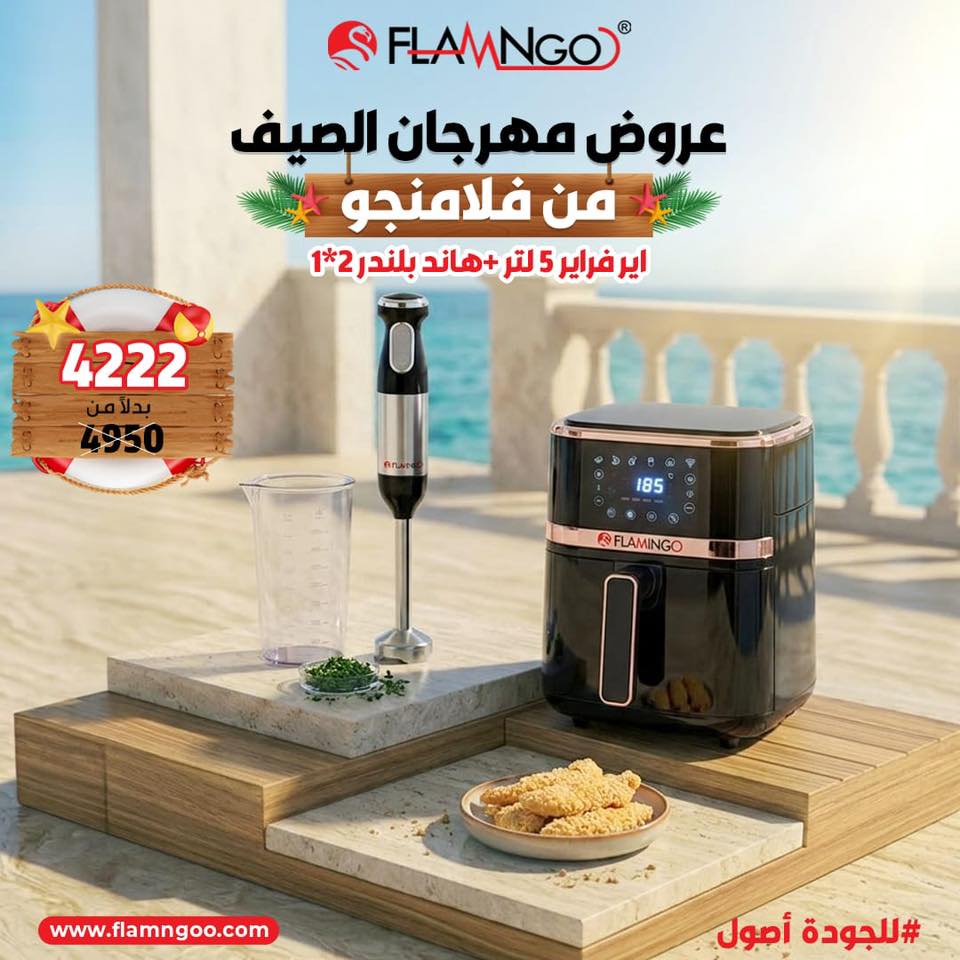عرض الصيف ايرفراير 5 لتر و هاند بلندر 2*1 