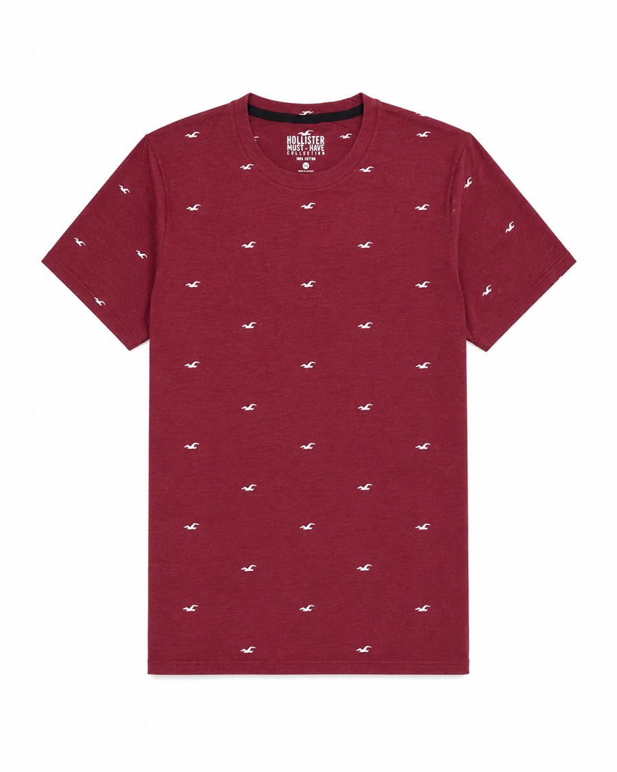 Regular fit Crew Hollister T-Shirt - Pack of 4