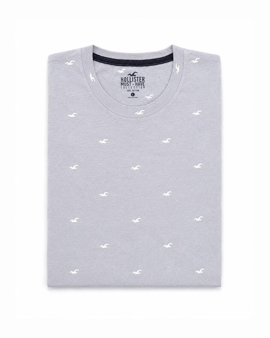 Regular fit Crew Hollister T-Shirt - Pack of 4