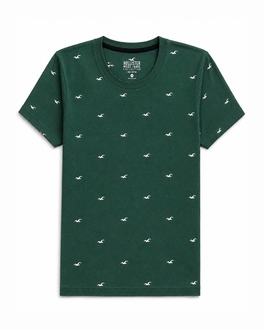 Regular fit Crew Hollister T-Shirt - Pack of 4