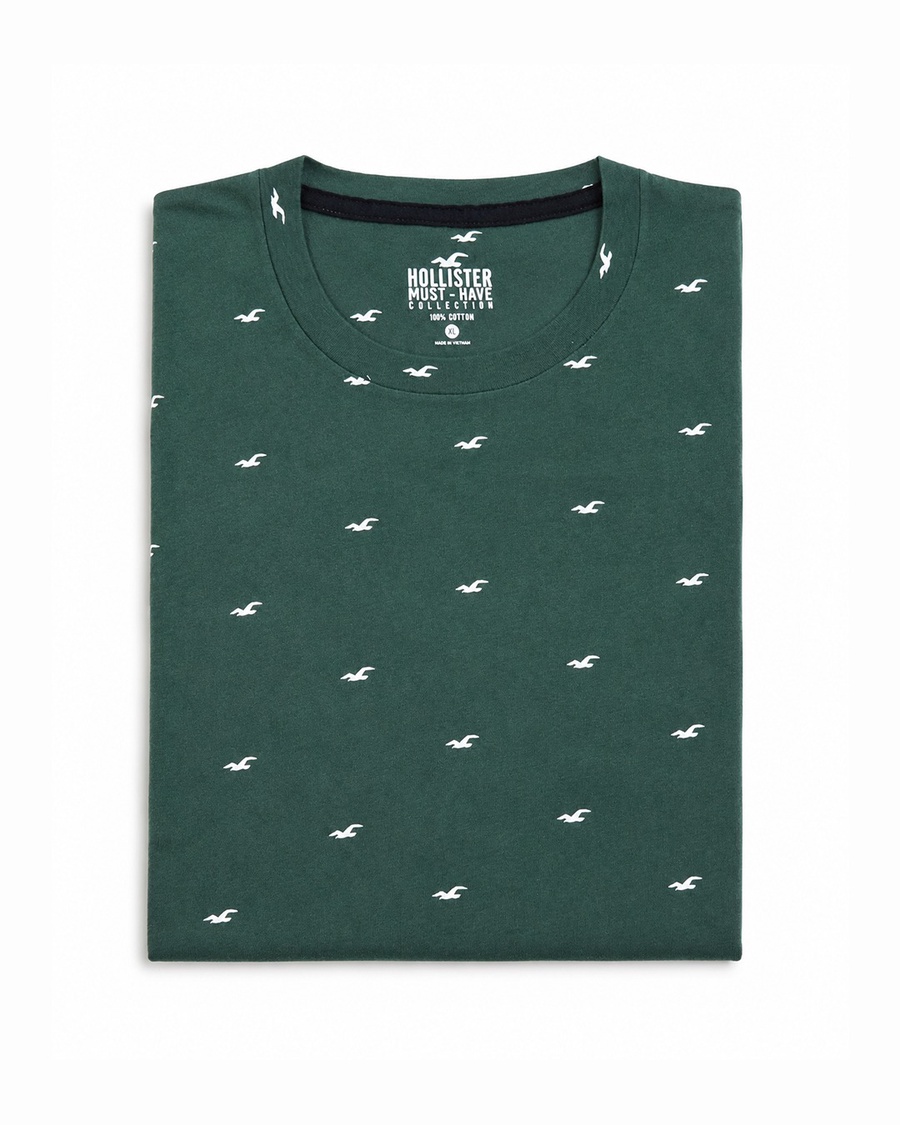 Regular fit Crew Hollister T-Shirt - Pack of 4