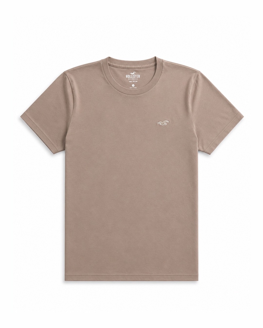 Hollister Icon T-Shirt