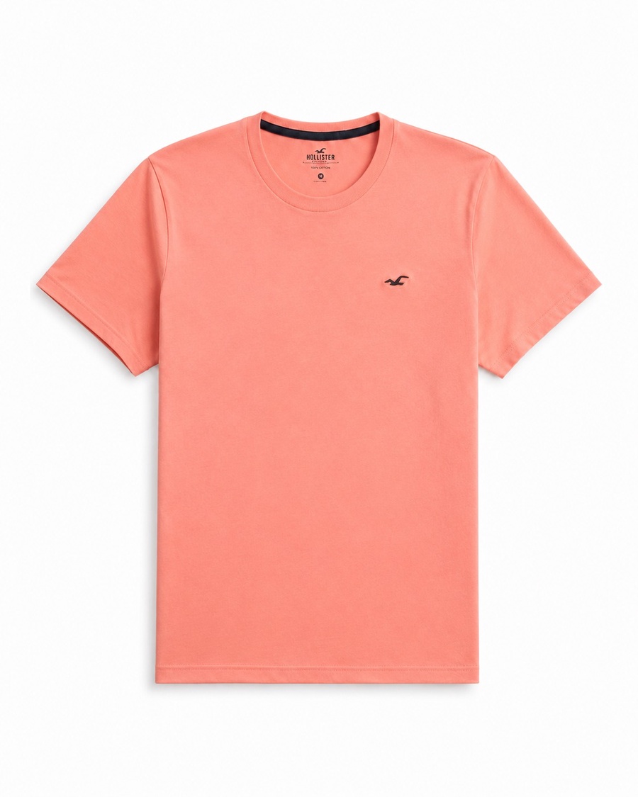 Hollister Icon T-Shirt