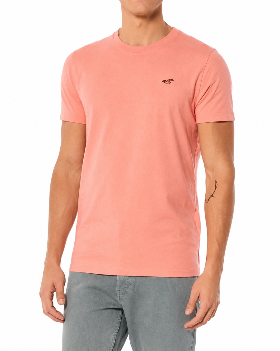 Hollister Icon T-Shirt