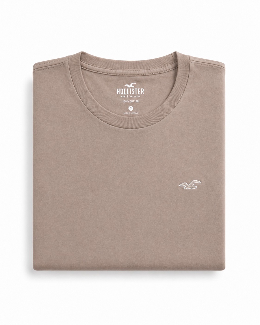Hollister Icon T-Shirt