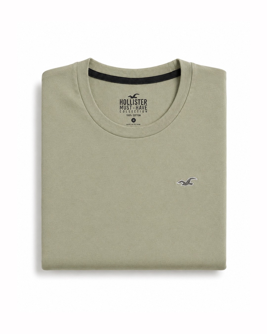 Hollister Icon T-Shirt