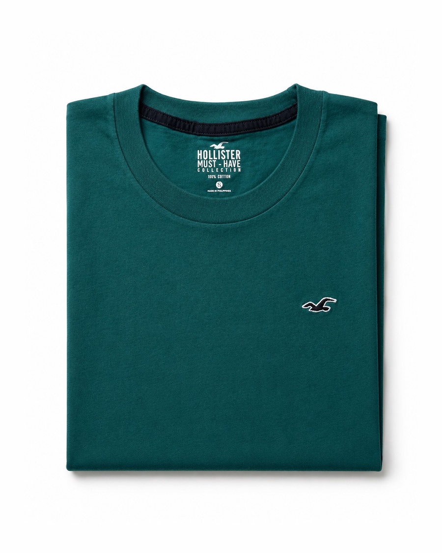 Hollister Icon T-Shirt