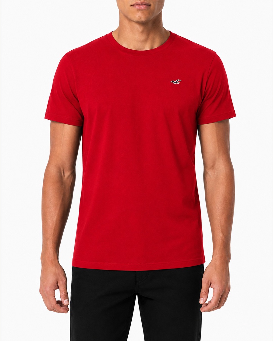 Hollister Icon T-Shirt