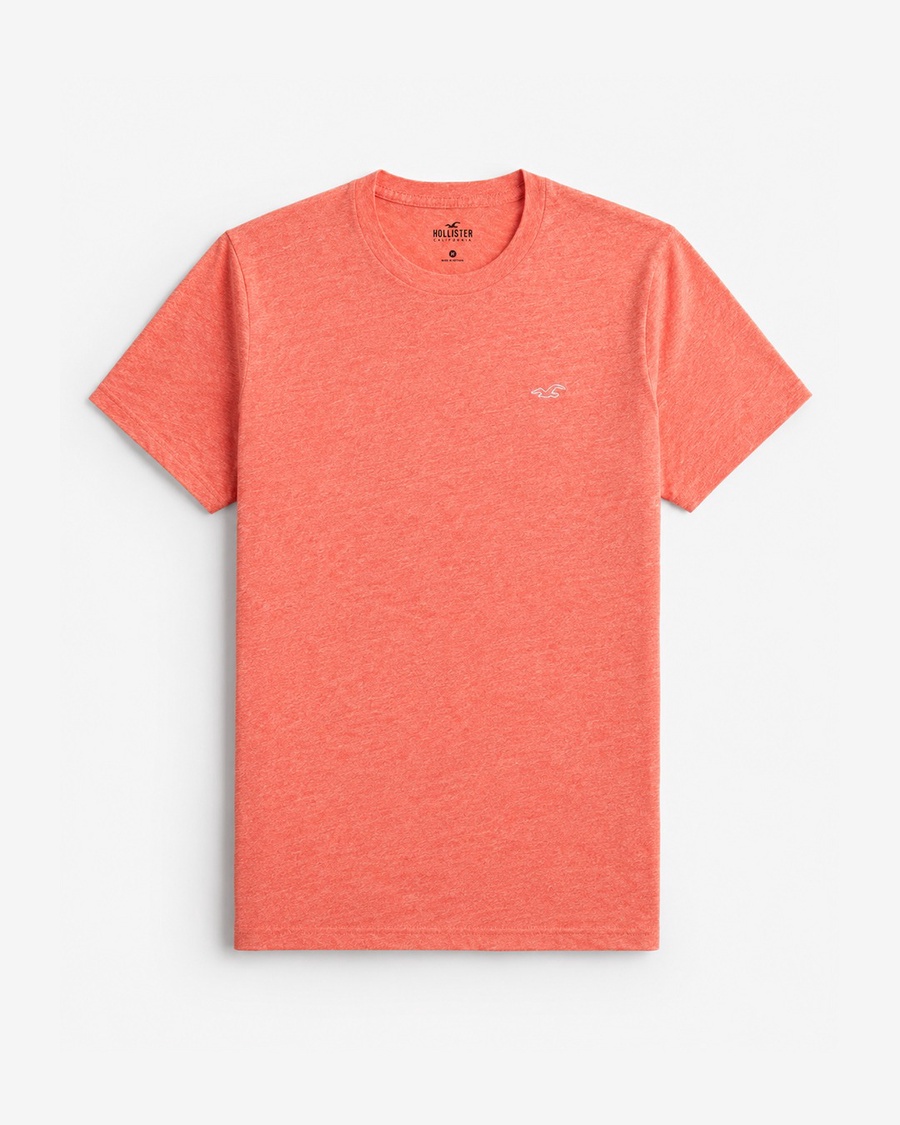 Hollister Icon T-Shirt