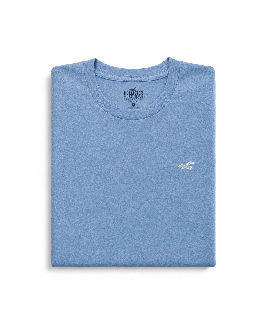 Hollister Icon T-Shirt