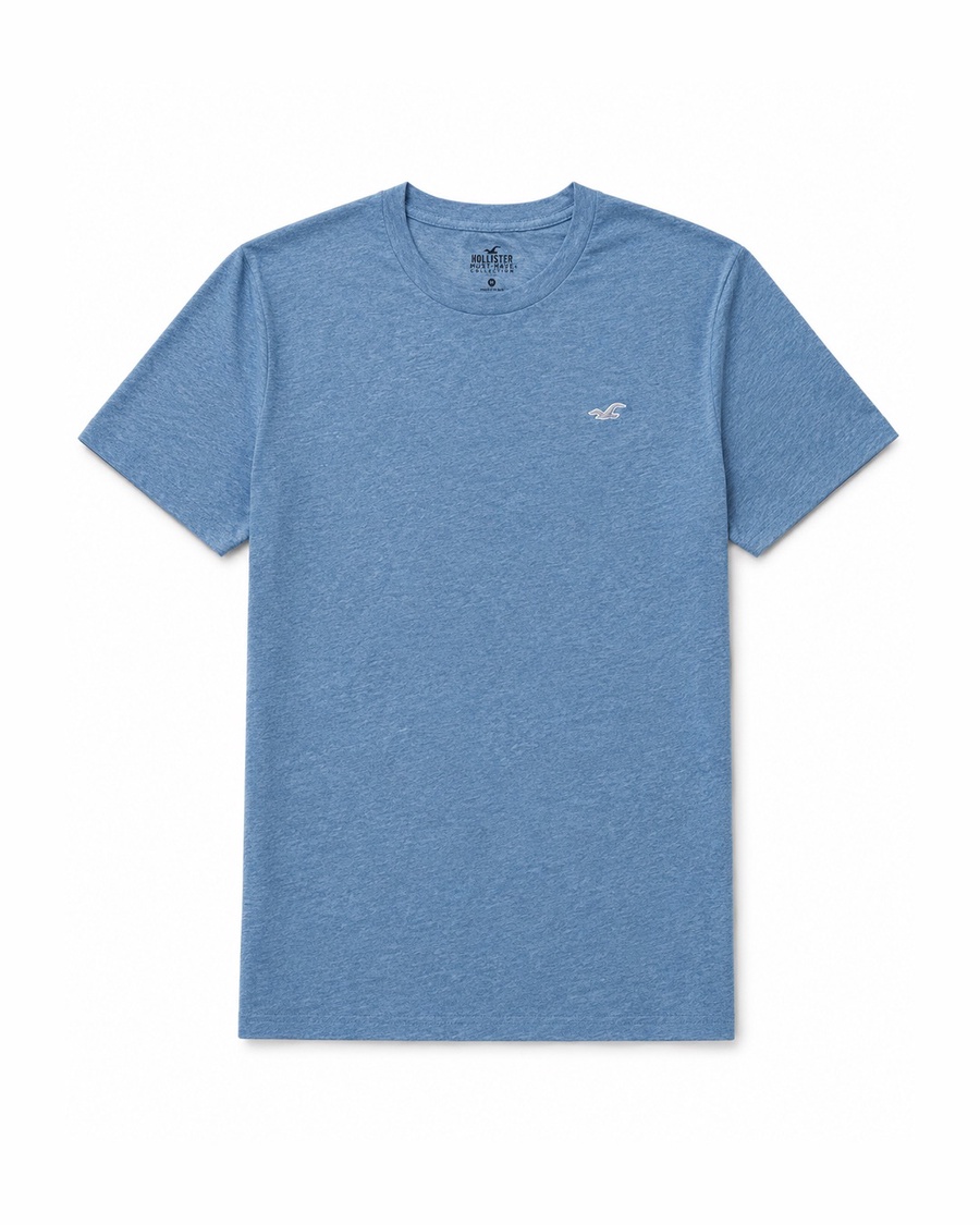 Hollister Icon T-Shirt