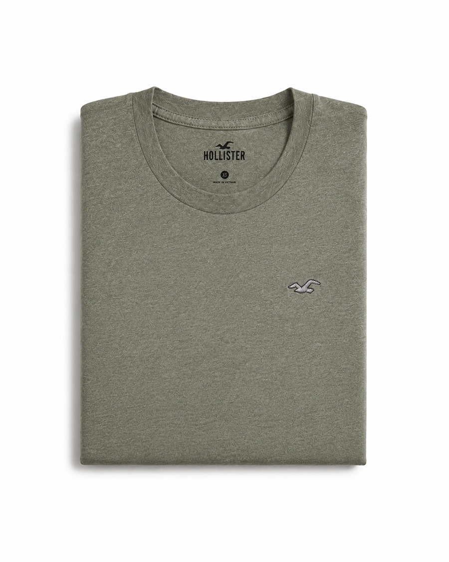 Hollister Icon T-Shirt