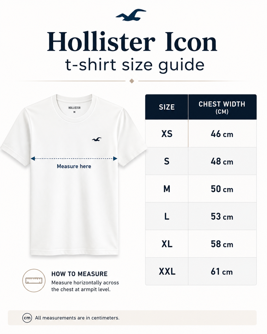 Hollister Icon T-Shirt