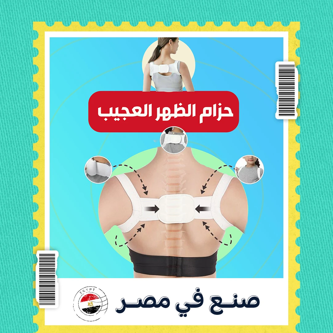حزام الظهر