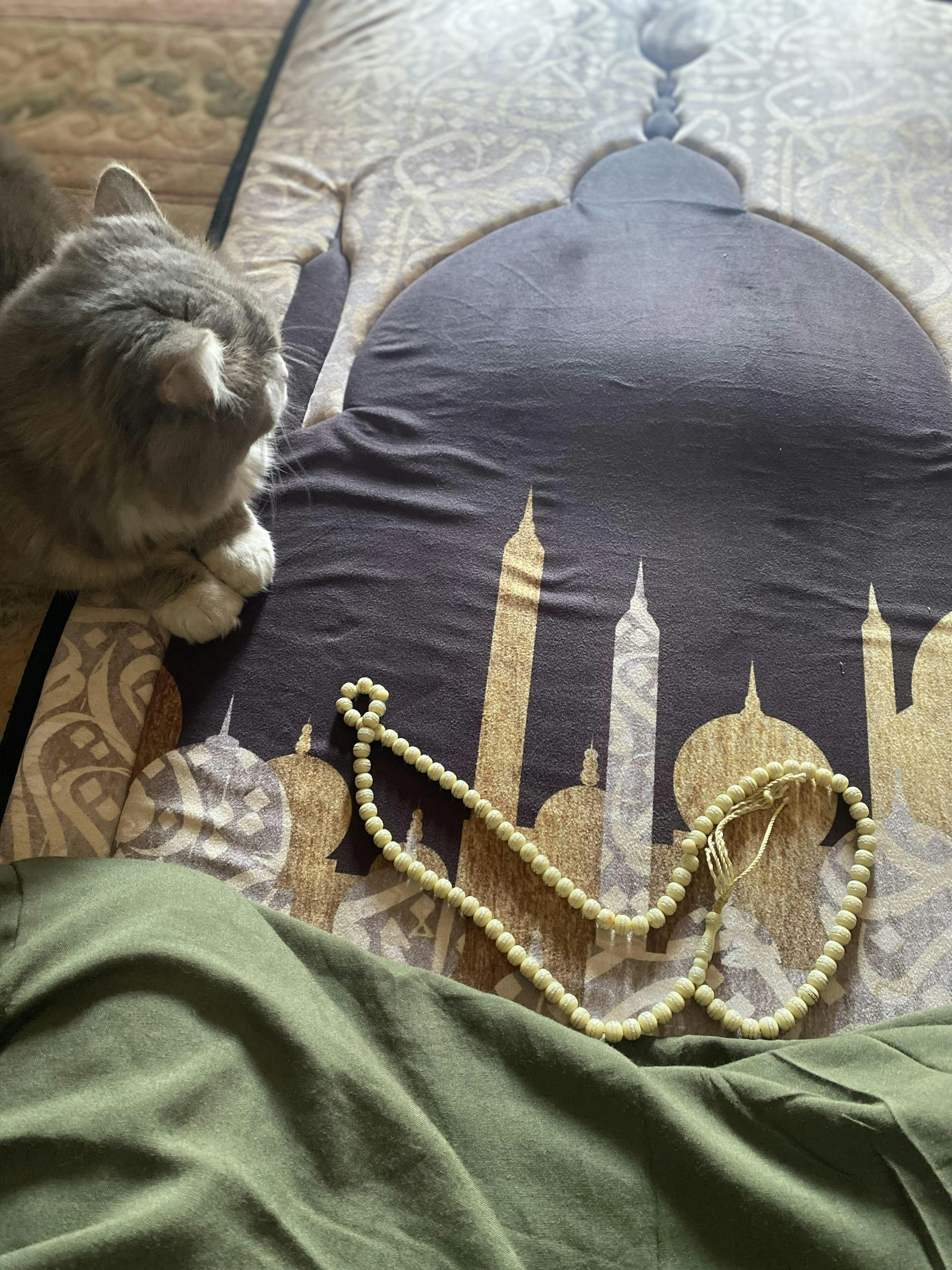 مصلية مبطنة مانعة للانزلاق كبيرة
