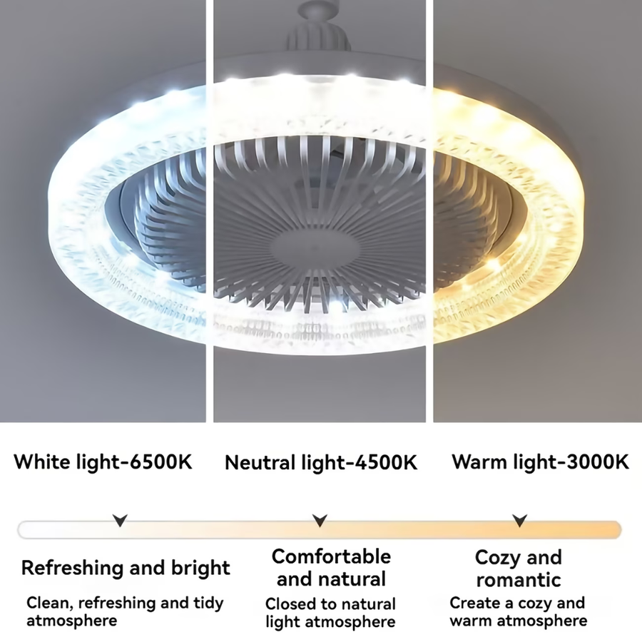 Ceiling Fan With Light and Remote Control