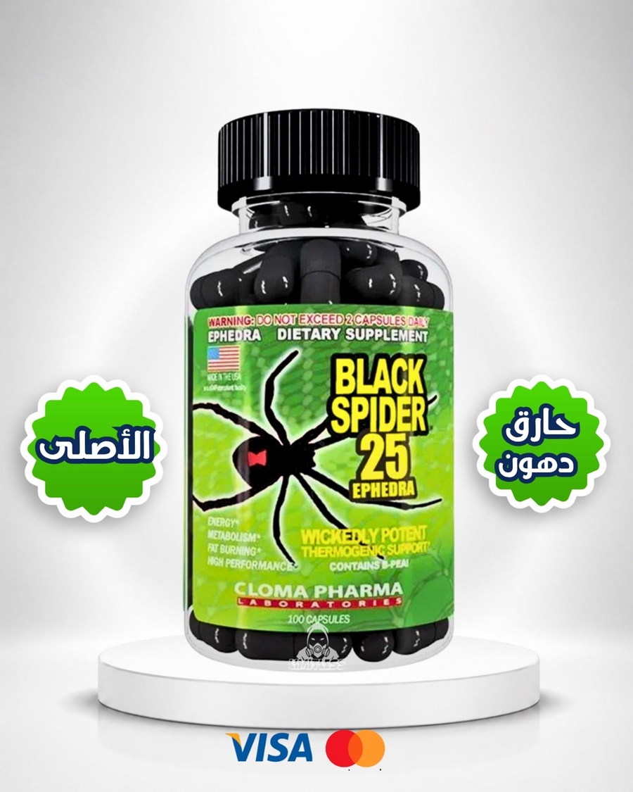 Black Spider