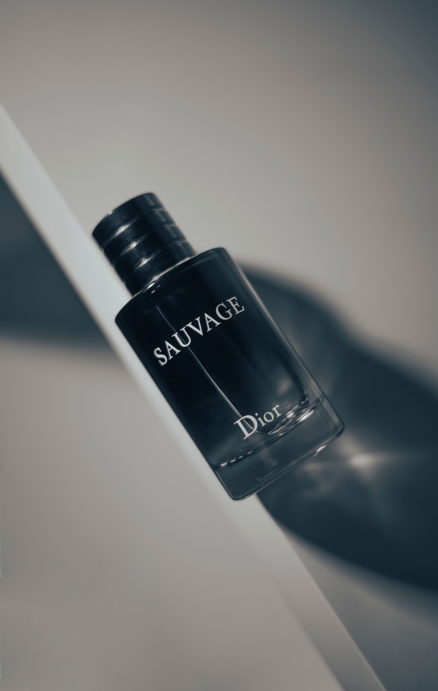 Dior Sauvage 100ML