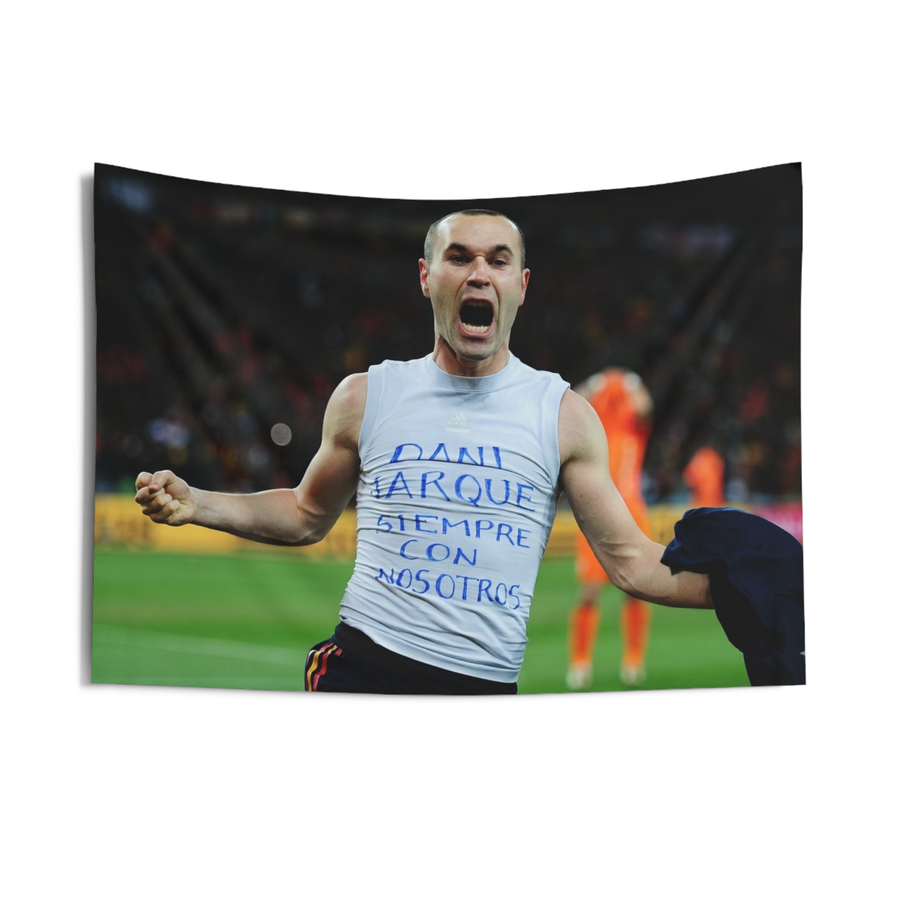 Iniesta’s Golden Goal