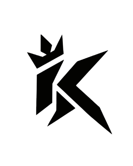 kingstr.store
