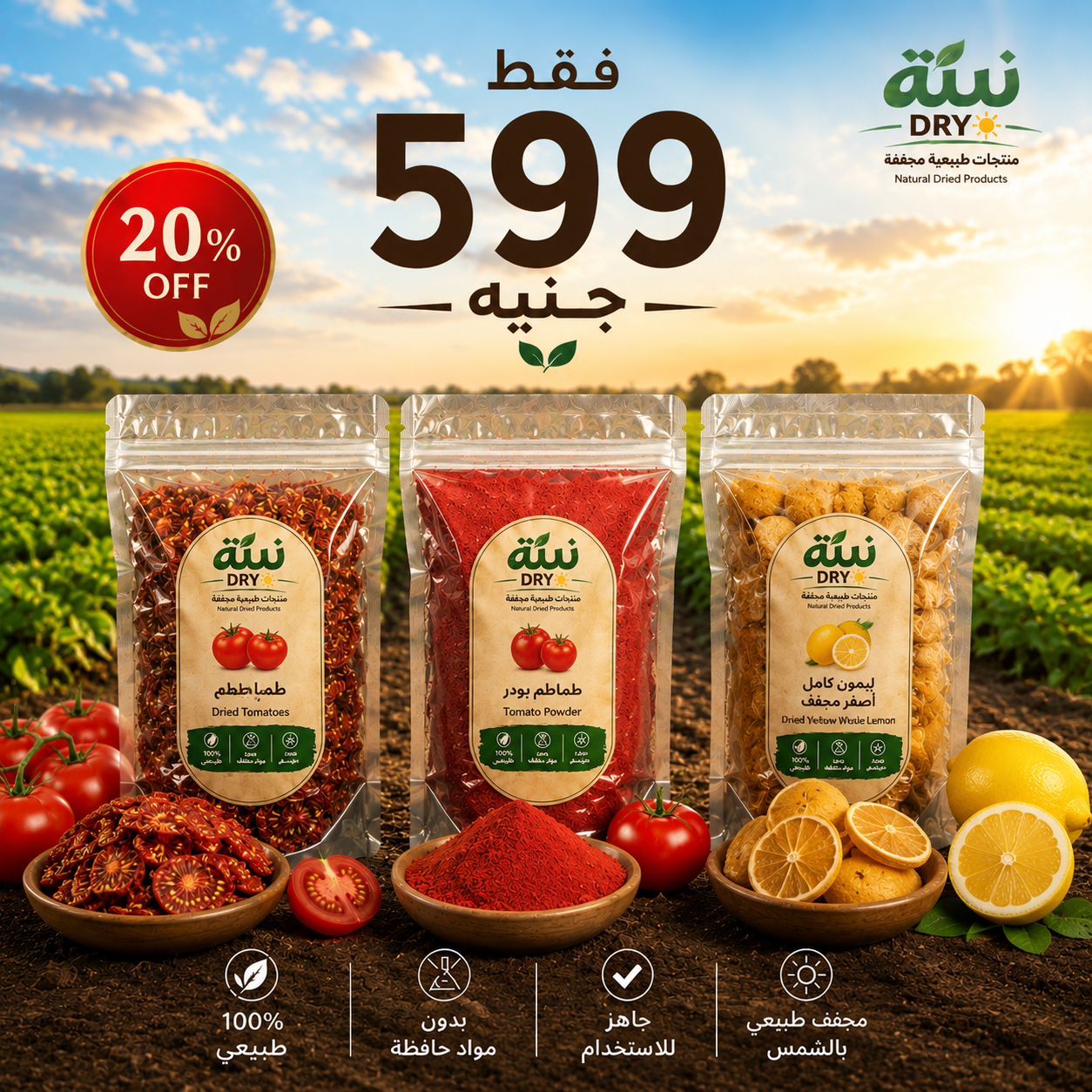 طماطم بودر  + لمون مجفف + طماطم مجففة