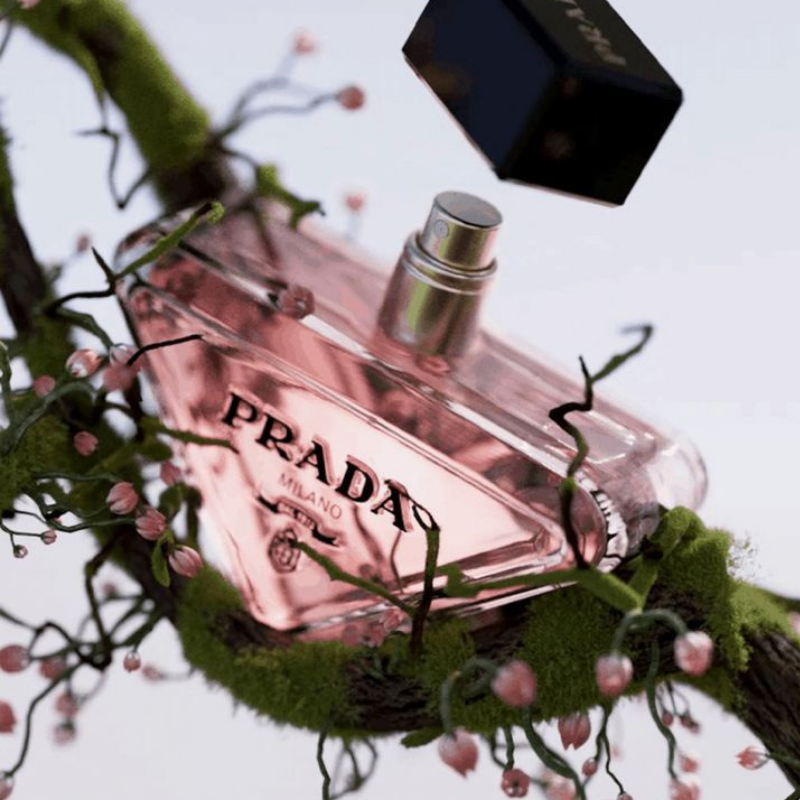 برادا بارادوكس إنتنس – Prada Paradoxe Intense