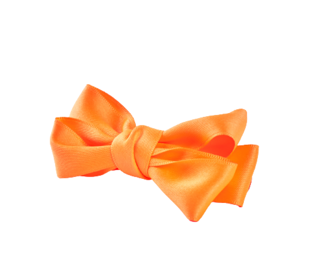Baby Silk Bow