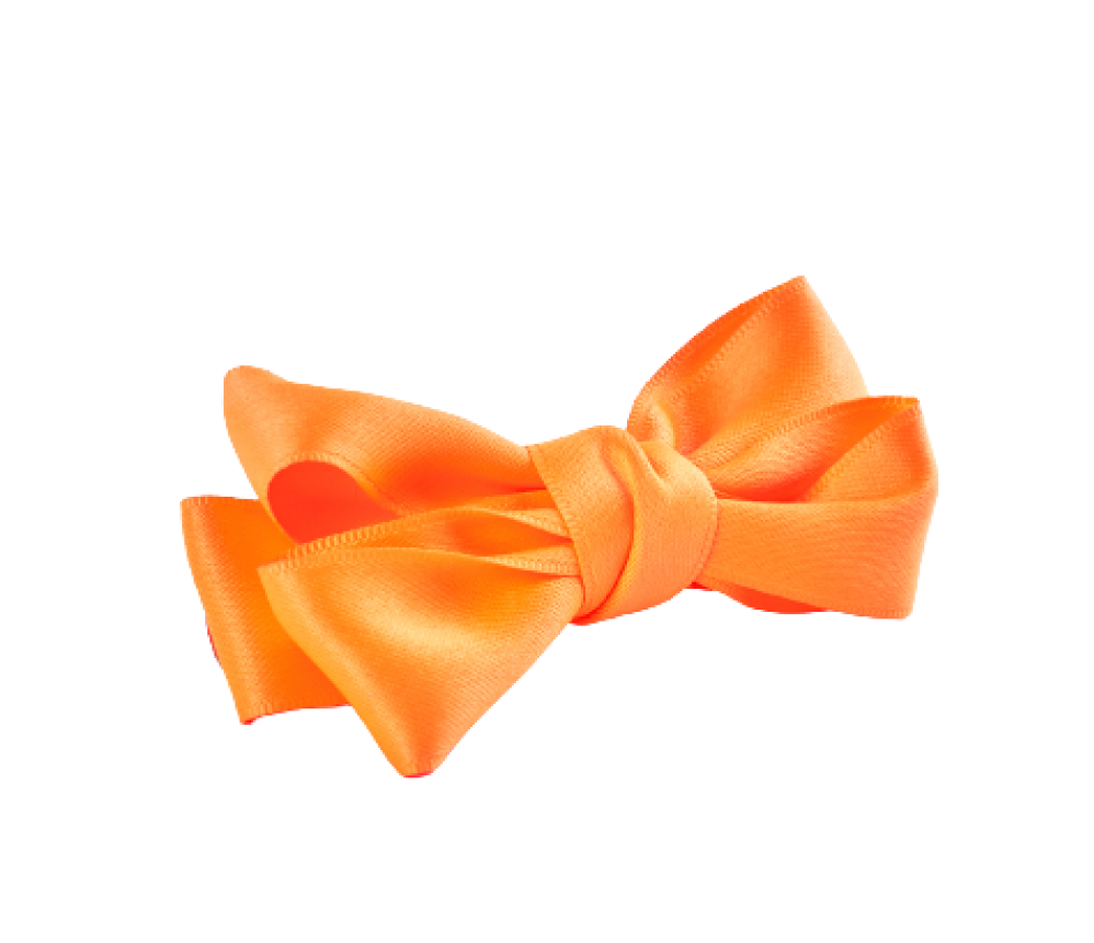 Baby Silk Bow