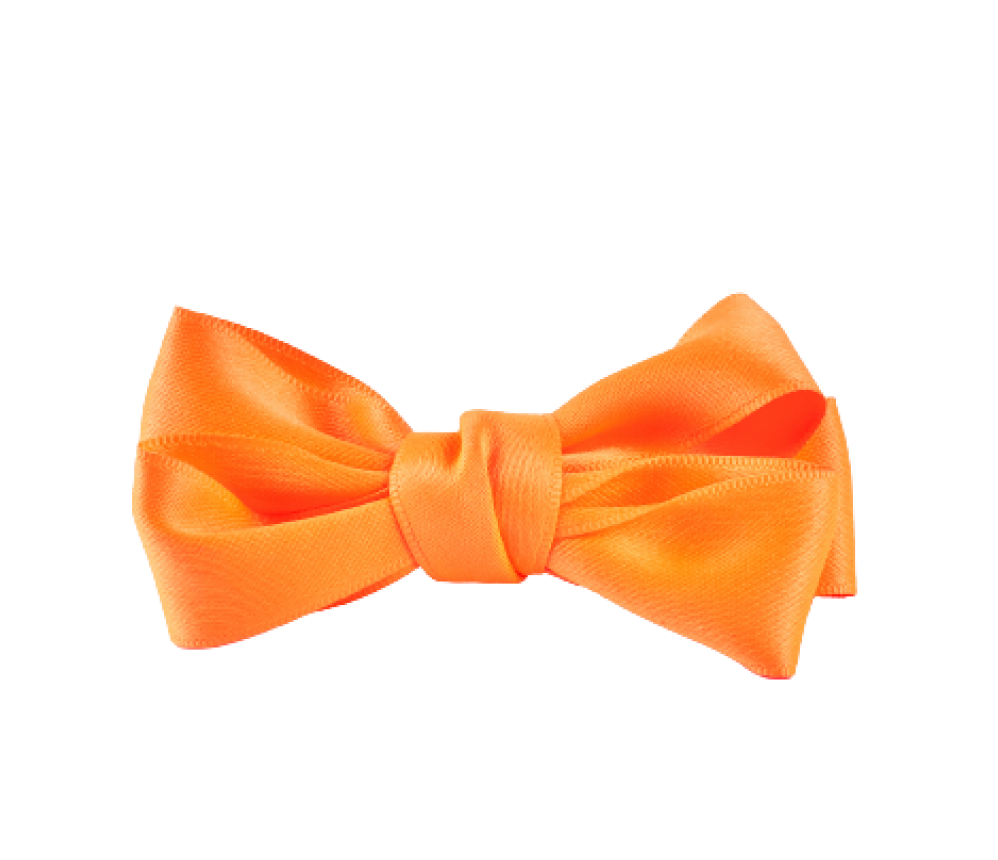 Baby Silk Bow