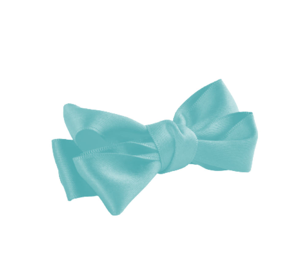 Baby Silk Bow
