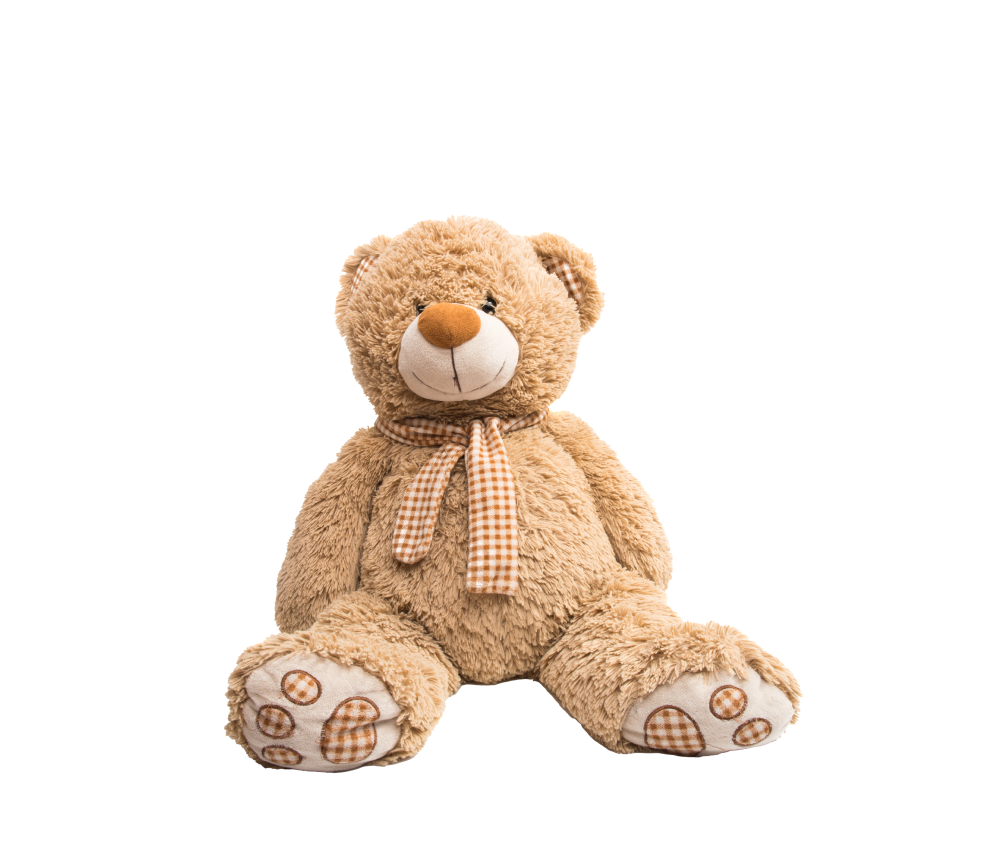 Bear with a Bow