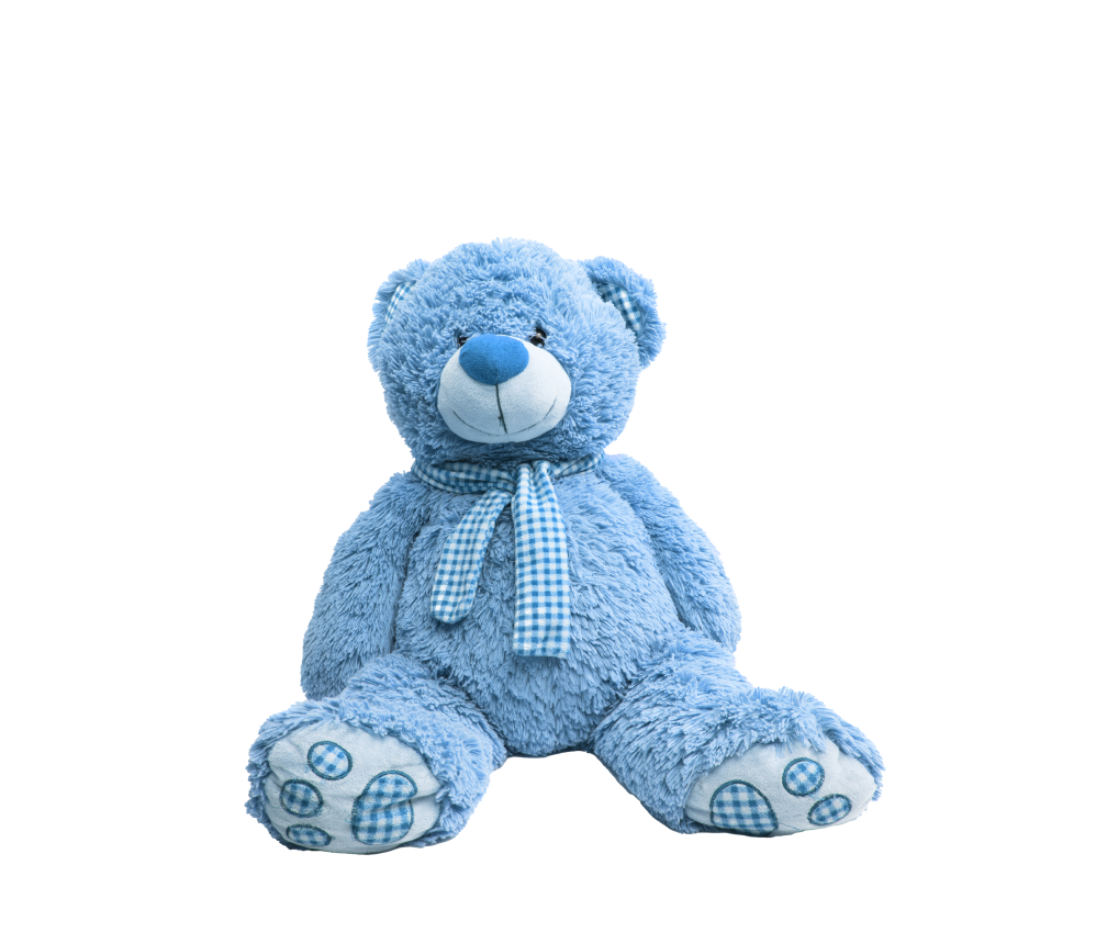 Bear with a Bow