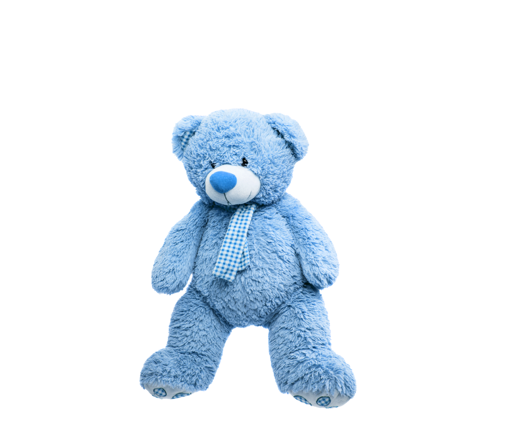 Bear with a Bow