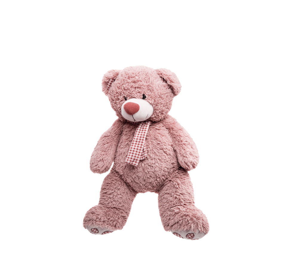 Bear with a Bow