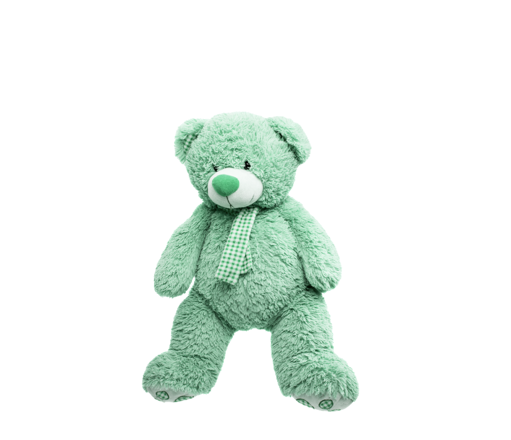 Bear with a Bow