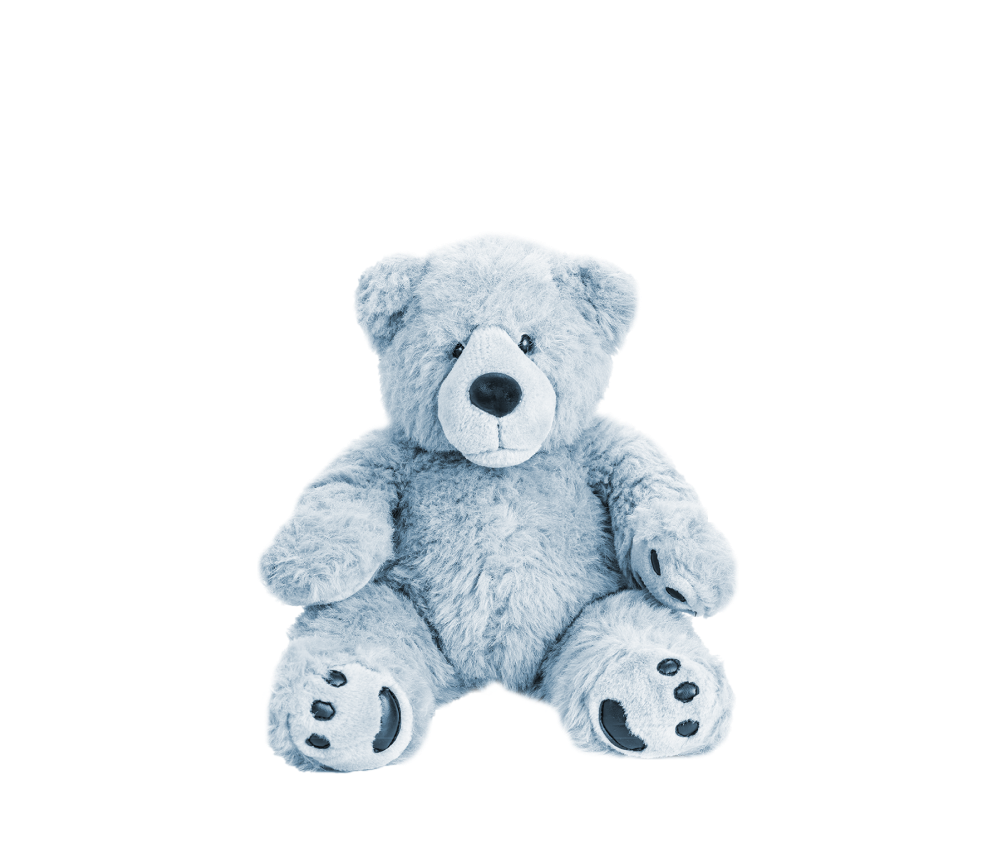 Fluffy Teddy Bear