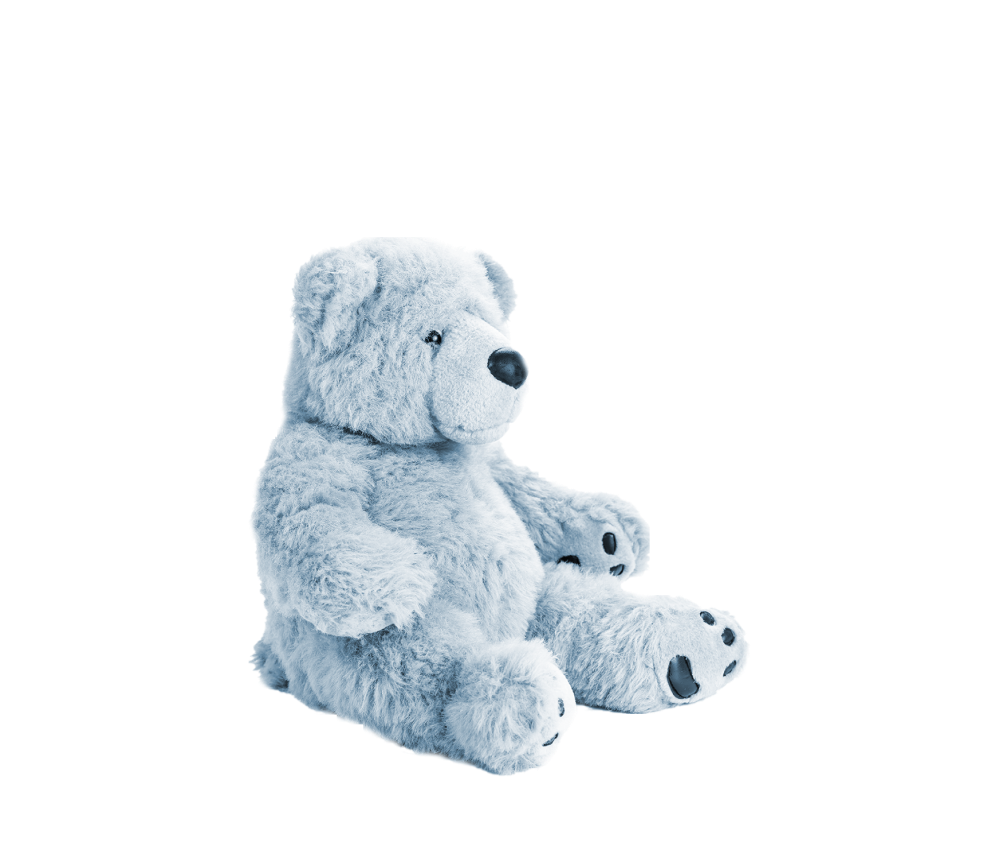 Fluffy Teddy Bear