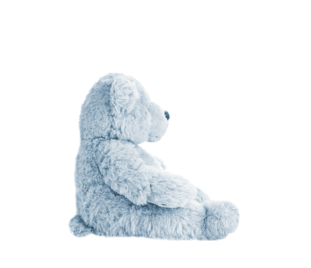 Fluffy Teddy Bear
