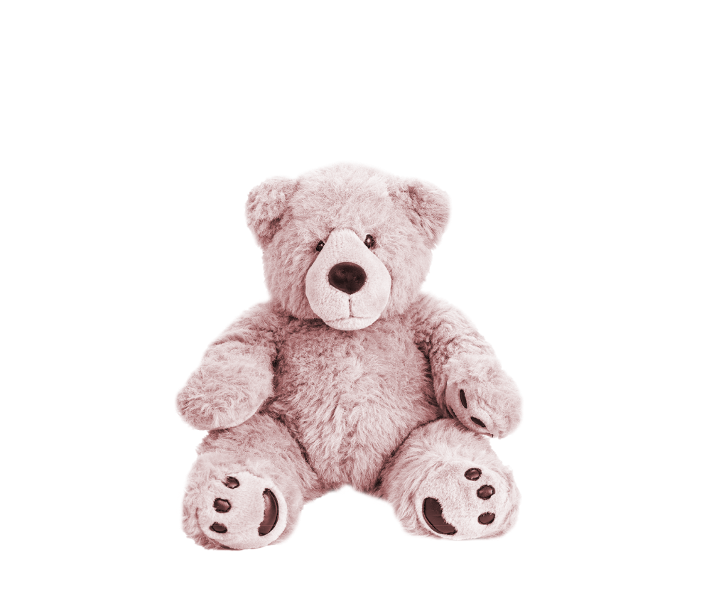 Fluffy Teddy Bear