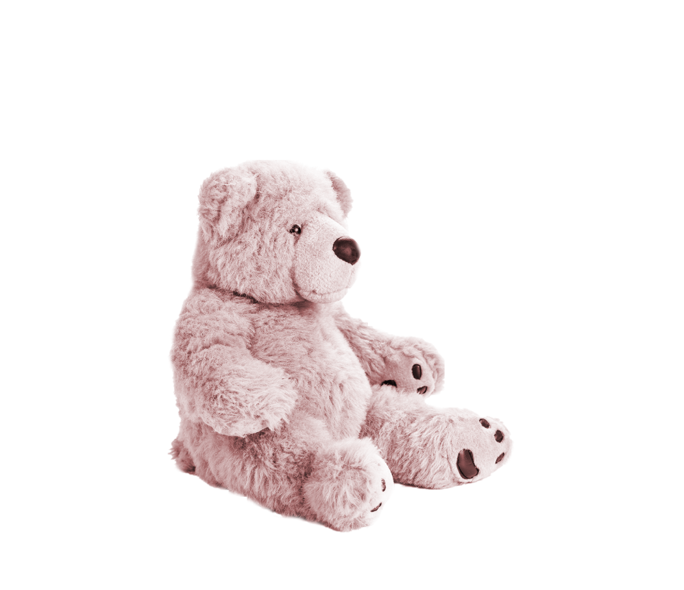 Fluffy Teddy Bear