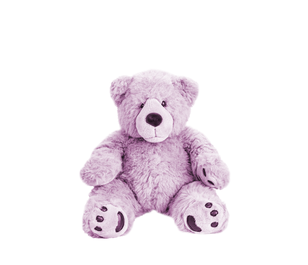 Fluffy Teddy Bear