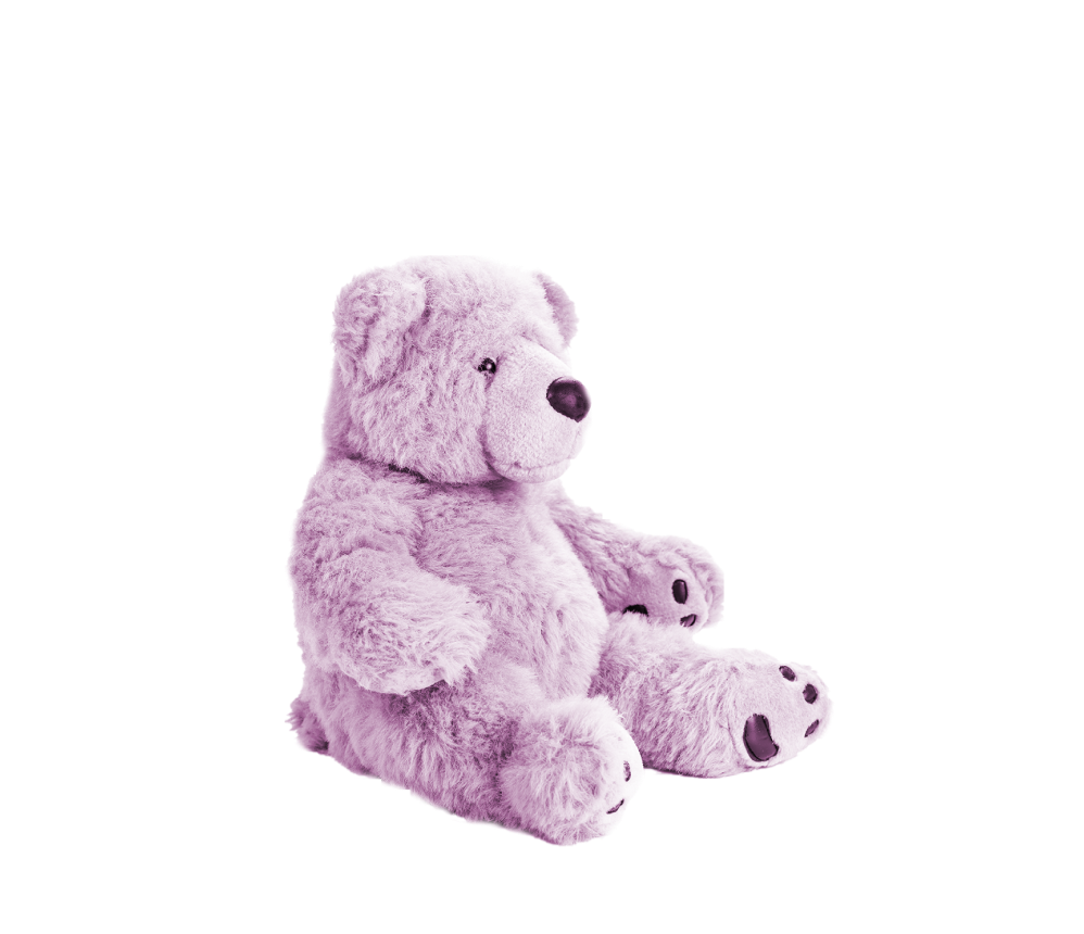 Fluffy Teddy Bear