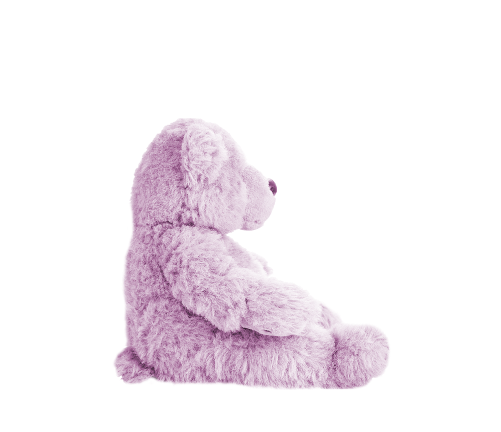 Fluffy Teddy Bear