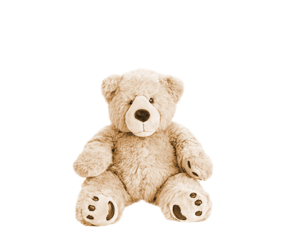 Fluffy Teddy Bear