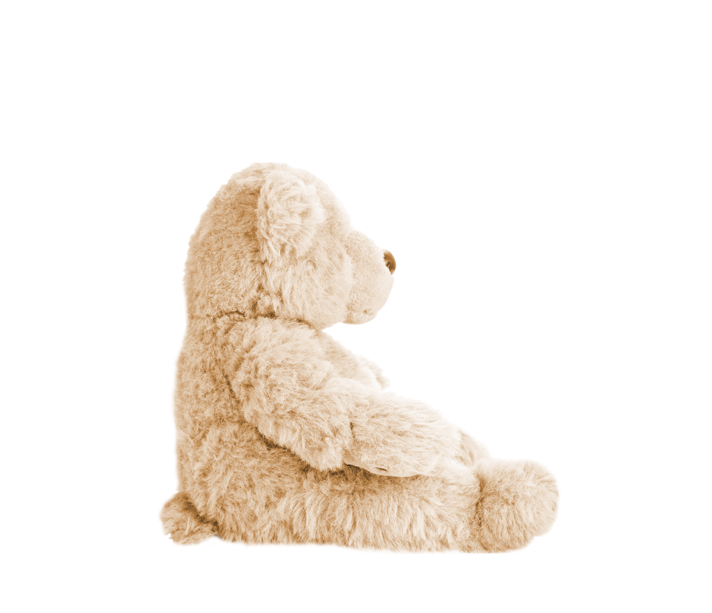 Fluffy Teddy Bear