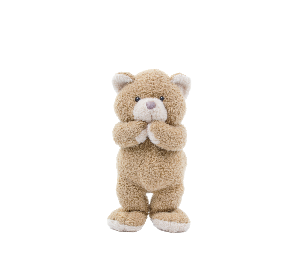 Soft Cuddly Bear