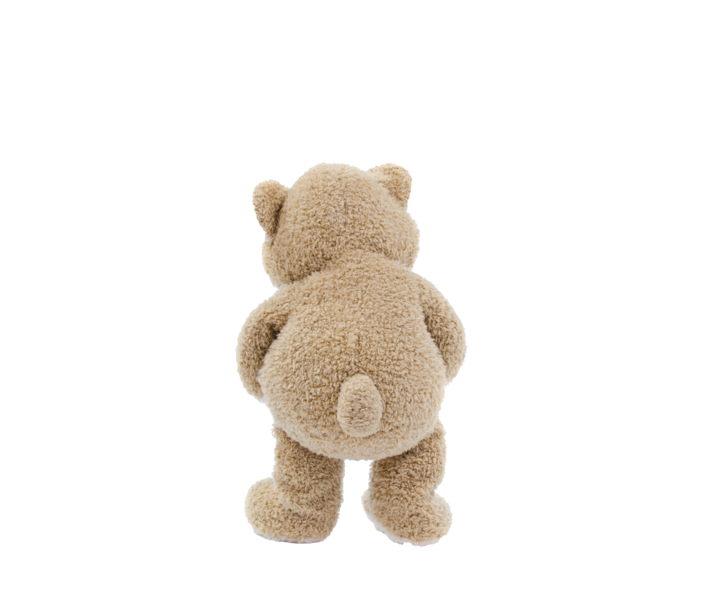 Soft Cuddly Bear